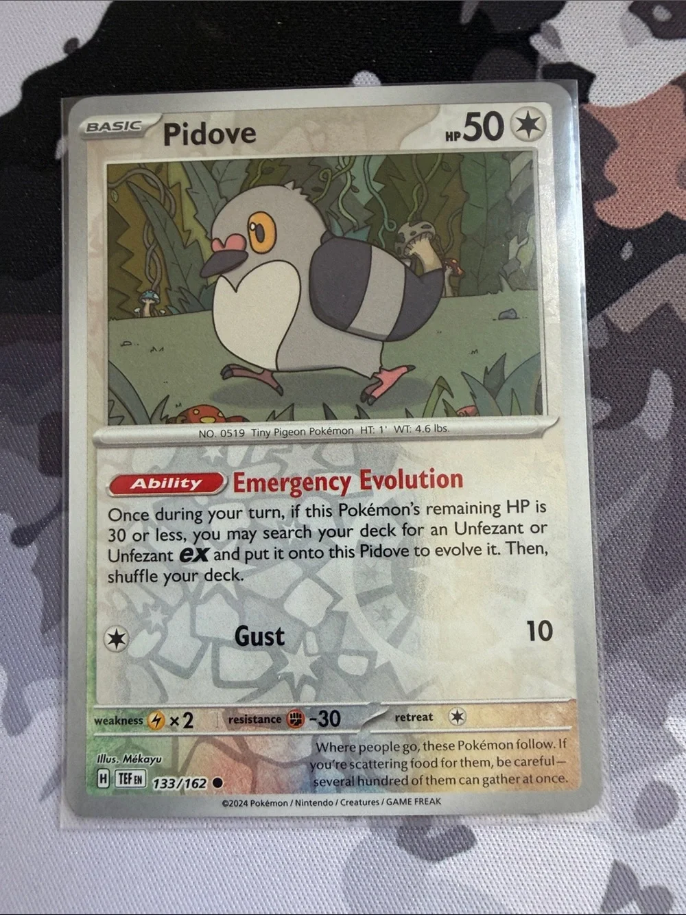 Pidove & Tranquill Evolution Lot | 3 Cards | Reverse Holo | Pokémon TCG ✨5/$25✨